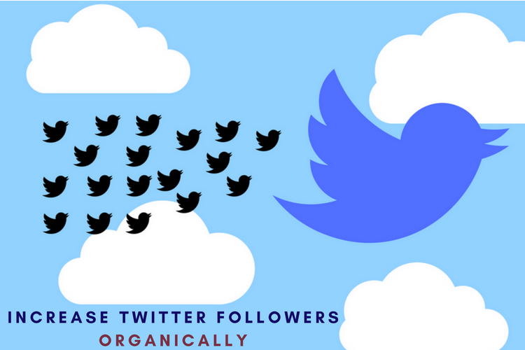 12 Ways to Increase Twitter Followers Organically
